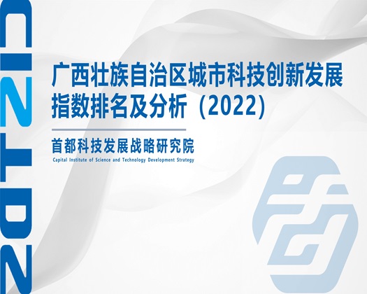 小屄亚洲【成果发布】广西壮族自治区城市科技创新发展指数排名及分析（2022）